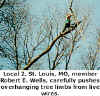 12/98 Local 2 Robert E. Wells, tree trimmer