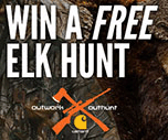 Free Elk Hunt